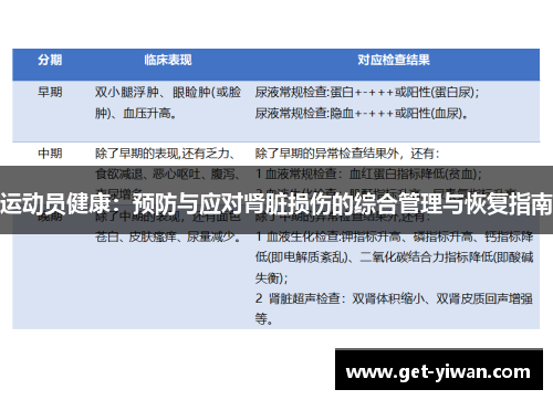 运动员健康：预防与应对肾脏损伤的综合管理与恢复指南