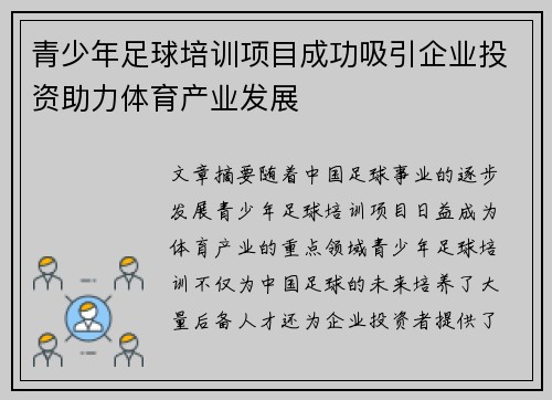 青少年足球培训项目成功吸引企业投资助力体育产业发展